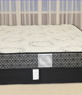 Dream Time Canadian Rock