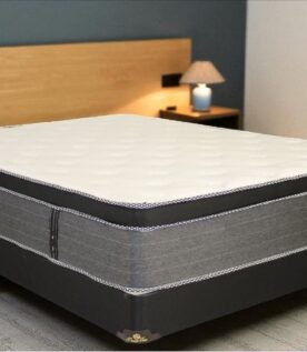 Dream Time Emperor Dream